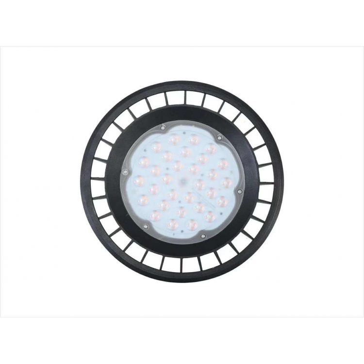 Euro Star LED Street Light